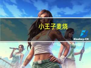 小王子 麦烧(香辣味)卡路里是多少