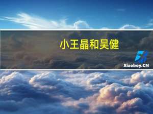 小王晶和吴健（小王晶）