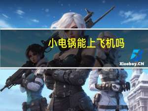 小电锅能上飞机吗