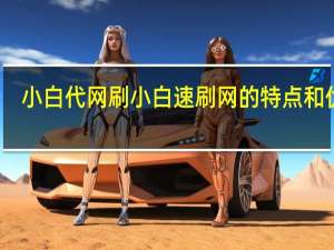 小白代网刷 小白速刷网的特点和优势