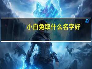 小白兔取什么名字好