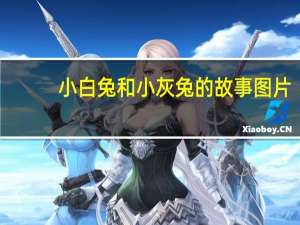 小白兔和小灰兔的故事图片（小白兔和小灰兔的故事）