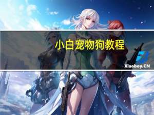 小白宠物狗教程