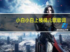 小白小白上楼梯儿歌歌词