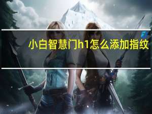 小白智慧门h1怎么添加指纹