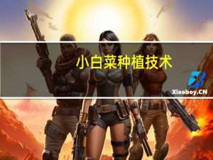 小白菜种植技术：喜温暖、湿润环境