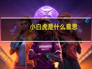 小白虎是什么意思