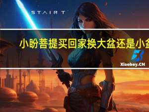 小盼菩提买回家换大盆还是小盆