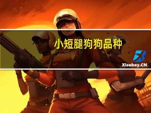 小短腿狗狗品种