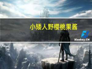 小矮人 野樱桃果酱(无糖)的热量是多少