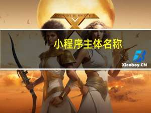 小程序主体名称