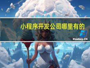 小程序开发公司哪里有的