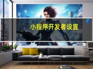 小程序开发者设置