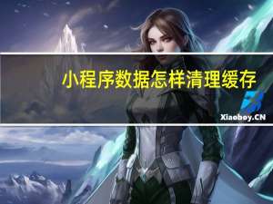 小程序数据怎样清理缓存