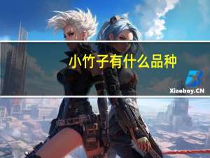 小竹子有什么品种