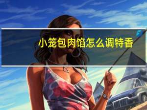 小笼包肉馅怎么调特香