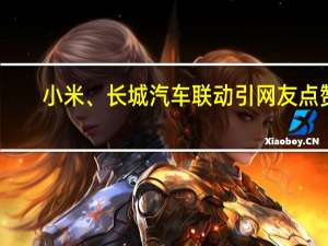 小米、长城汽车联动引网友点赞：不成都难