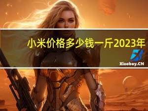 小米价格多少钱一斤2023年（小米3价格多少）