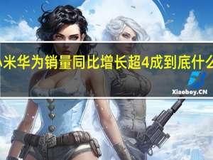 小米华为销量同比增长超4成 到底什么情况嘞