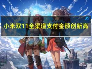 小米双11全渠道支付金额创新高