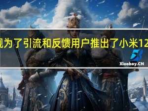 小米在双十一旗舰为了引流和反馈用户推出了小米12S Ultra的影像限定礼盒