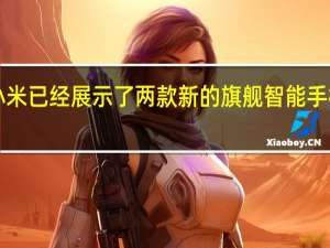 小米已经展示了两款新的旗舰智能手机Mi 10