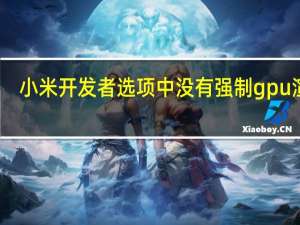 小米开发者选项中没有强制gpu渲染（小米开发者选项）