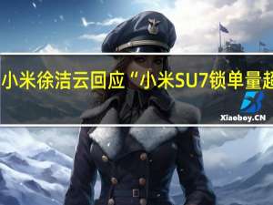 小米徐洁云回应“小米SU7锁单量超2万”：数字错误