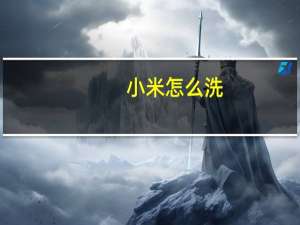 小米怎么洗