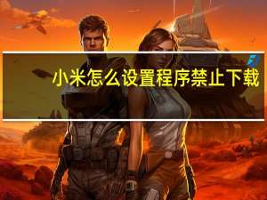 小米怎么设置程序禁止下载