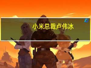 小米总裁卢伟冰：中国手机市场明年将回到2.8亿台销量