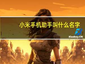 小米手机助手叫什么名字