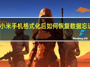 小米手机格式化后如何恢复数据忘记备份（小米手机格式化后如何恢复数据）