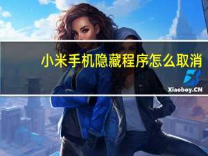 小米手机隐藏程序怎么取消