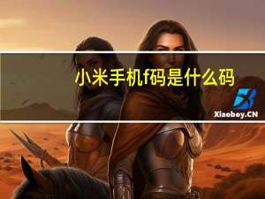 小米手机f码是什么码（小米手机f码是什么）