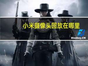 小米摄像头回放在哪里