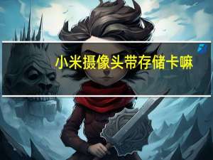 小米摄像头带存储卡嘛