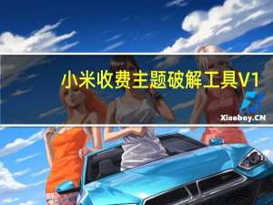小米收费主题破解工具 V1.0 绿色免费版（小米收费主题破解工具 V1.0 绿色免费版功能简介）