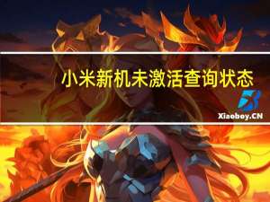 小米新机未激活查询状态（小米激活与未激活区别）