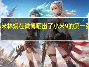 小米林斌在微博晒出了小米9的第一张随手拍