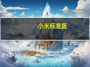 小米标准版（小米手机官网什么是标准版）