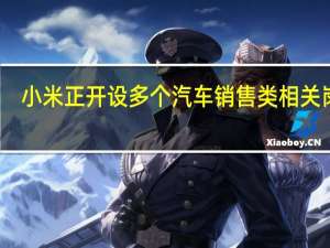 小米正开设多个汽车销售类相关岗位
