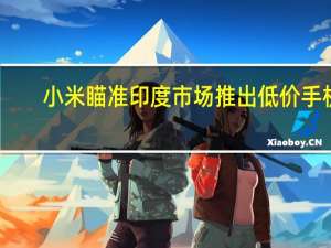 小米瞄准印度市场推出低价手机