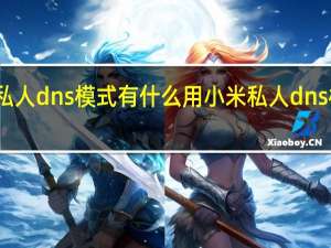 小米私人dns模式有什么用 小米私人dns模式的简介