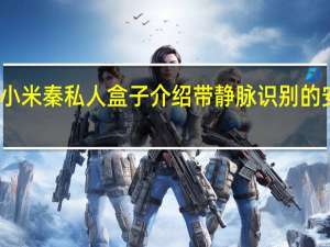 小米秦私人盒子介绍带静脉识别的安全盒