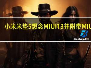 小米米垫5想念MIUI13并附带MIUI12.5
