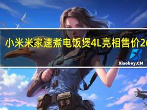 小米米家速煮电饭煲4L亮相售价269元