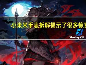 小米米手表拆解揭示了很多惊喜