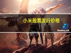 小米股票发行价格