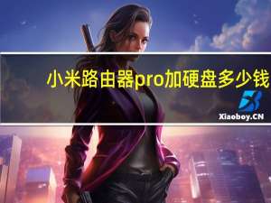 小米路由器pro加硬盘多少钱（小米路由器pro加硬盘）